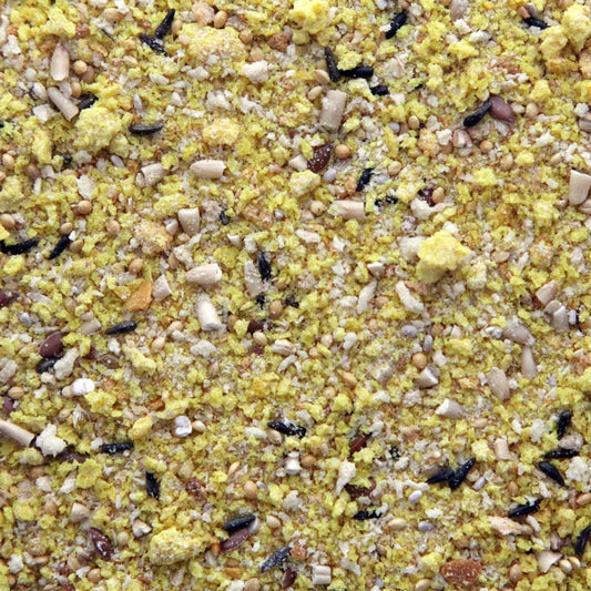 HIGGINS PROTEIN EGG FOOD, 5z