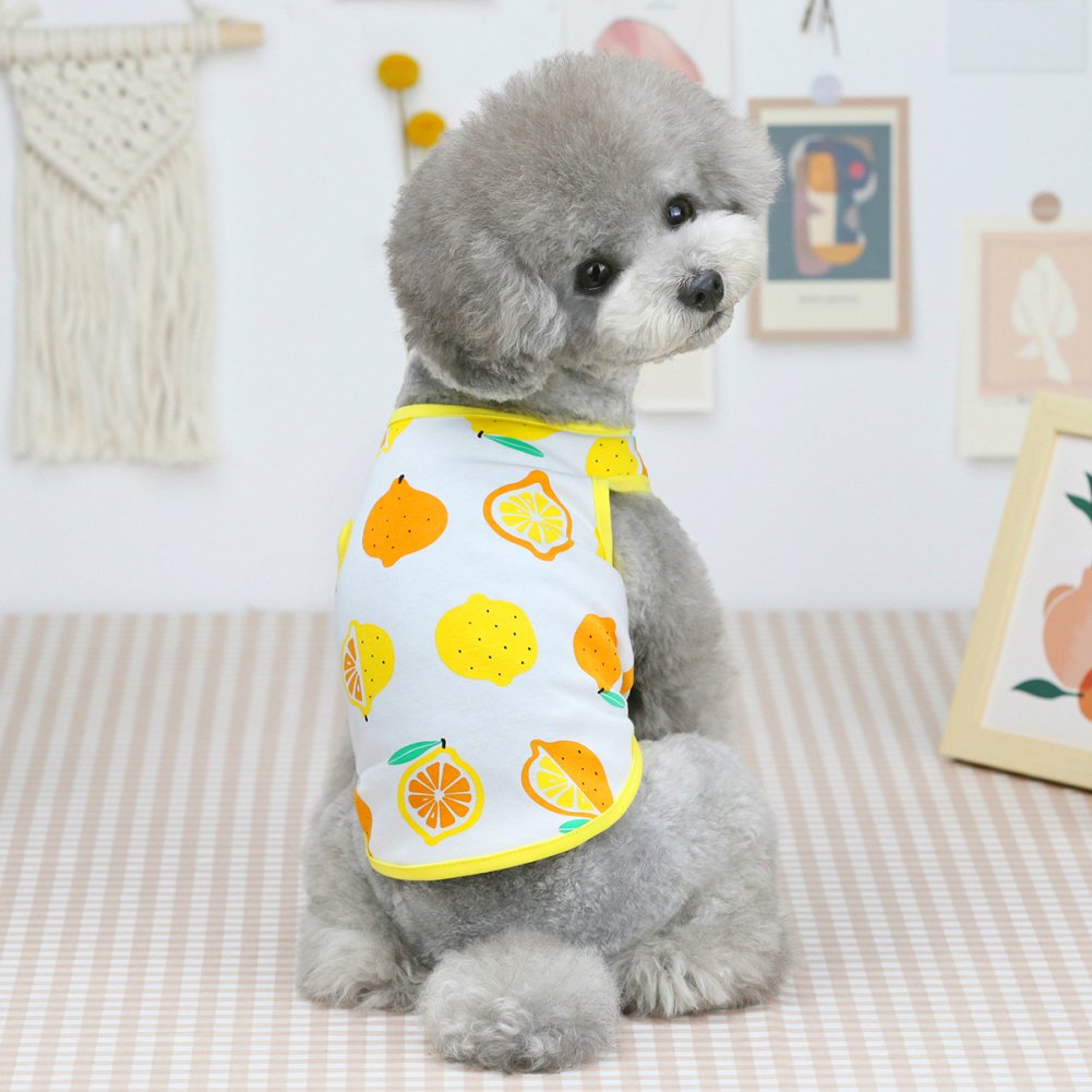 Cute Pet Fruit Print Vest