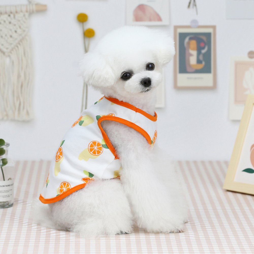 Cute Pet Fruit Print Vest