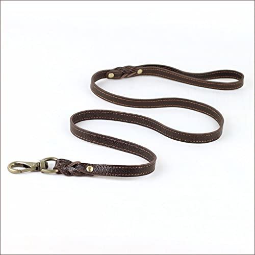 Braided Leather Dog Leash