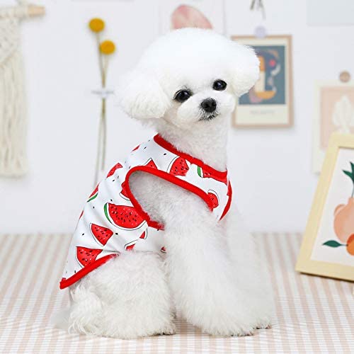 Cute Pet Fruit Print Vest