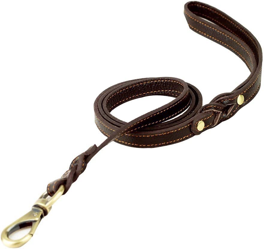 Braided Leather Dog Leash