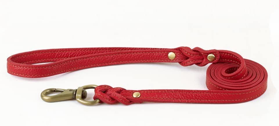 Braided Leather Dog Leash