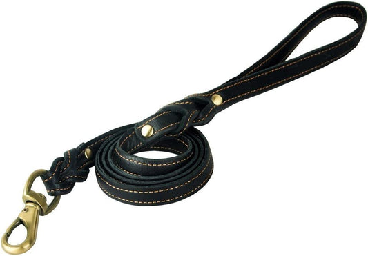 Braided Leather Dog Leash