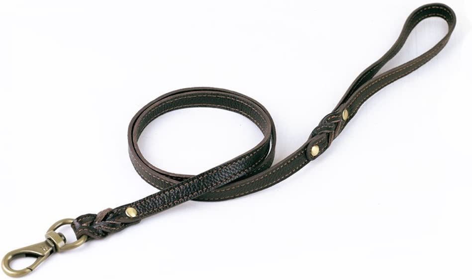 Braided Leather Dog Leash