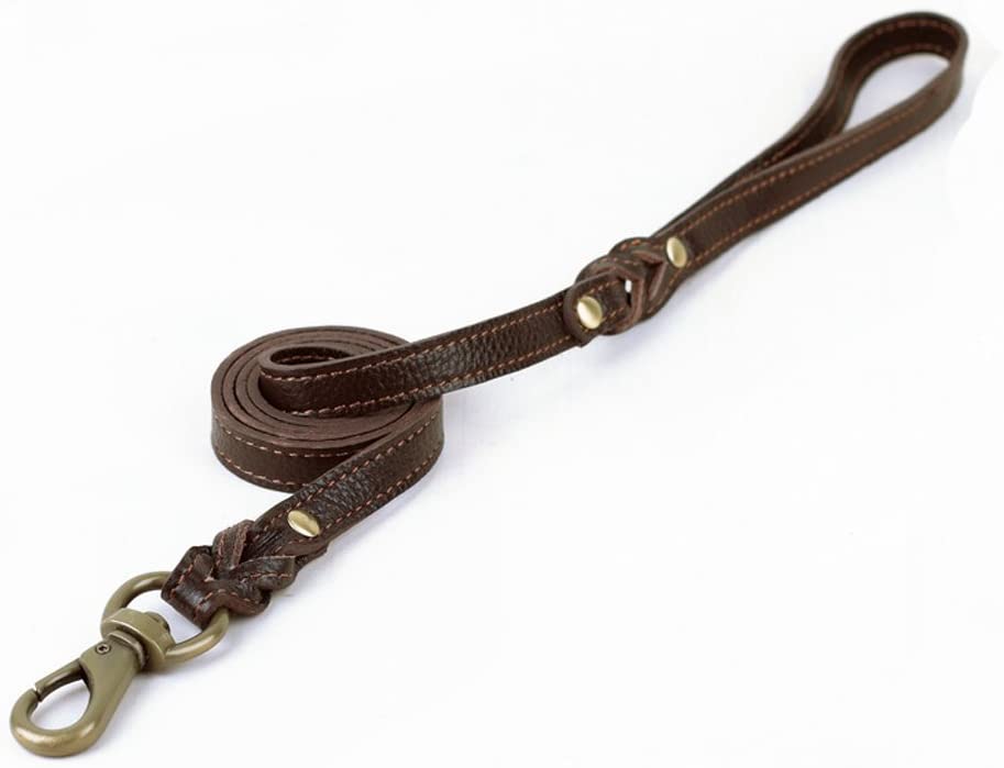 Braided Leather Dog Leash