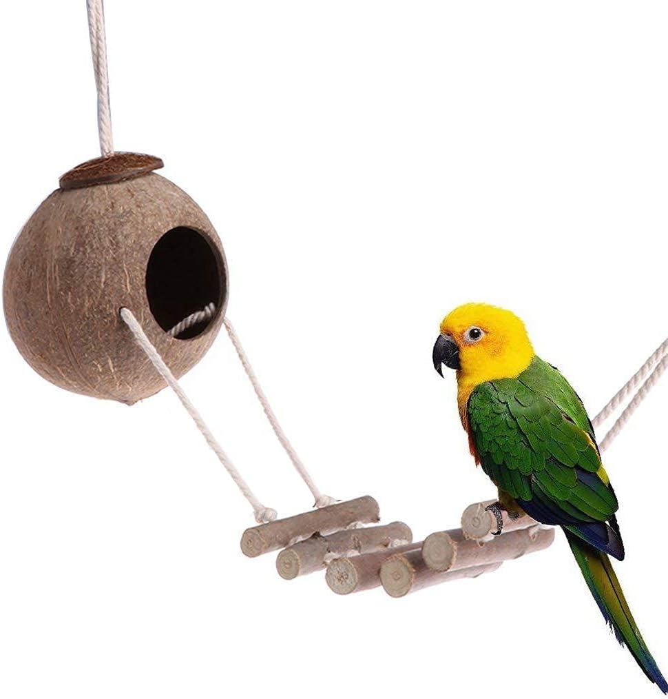 6 Piece Bird Toy Set - Natural Wood Coconut House with Bells and Ladder for Small & Medium