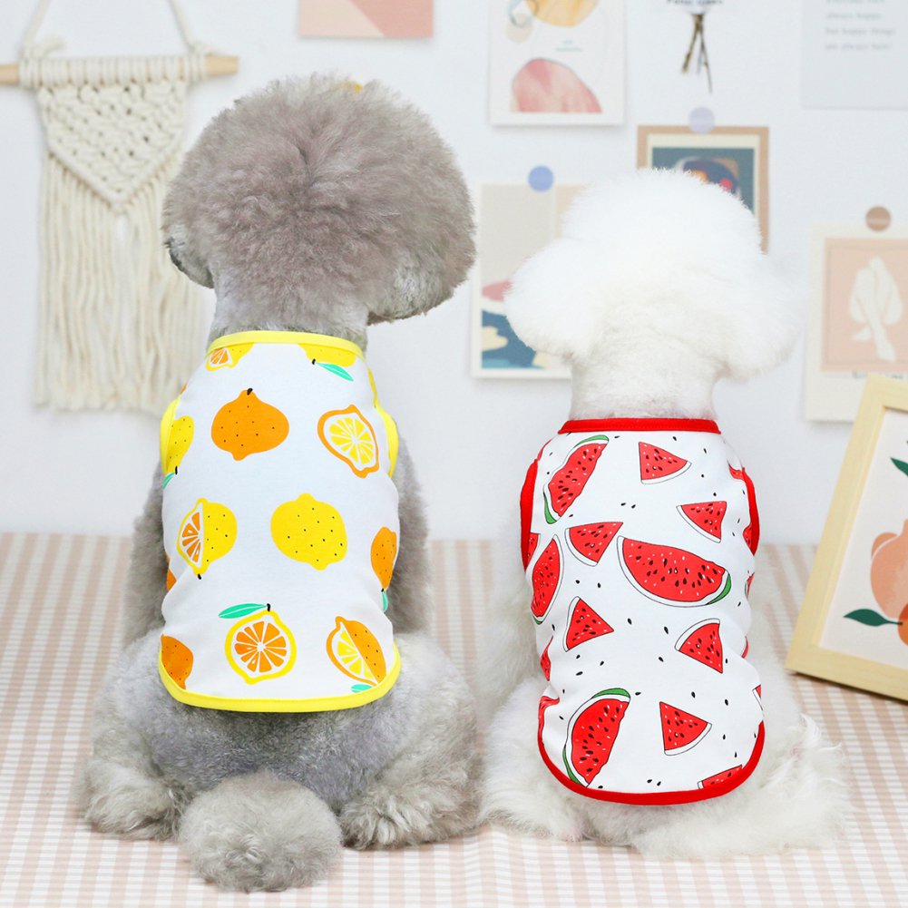 Cute Pet Fruit Print Vest