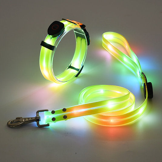 LED Light-Up Dog Leash – Rechargeable Safety Leash for Night Walks
