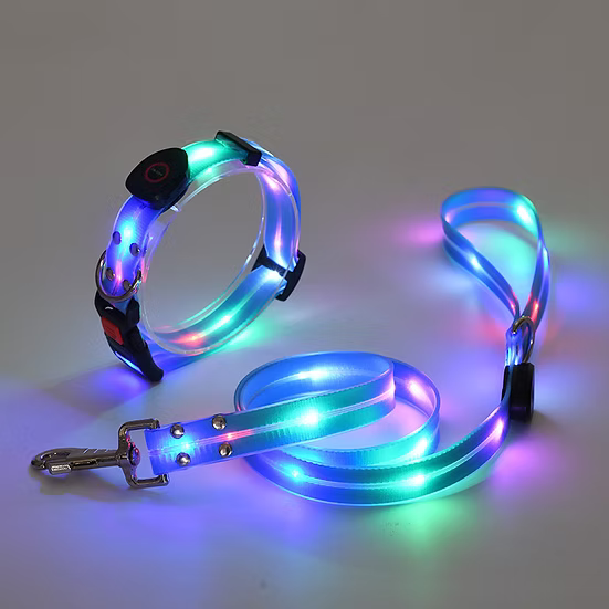LED Light-Up Dog Leash – Rechargeable Safety Leash for Night Walks