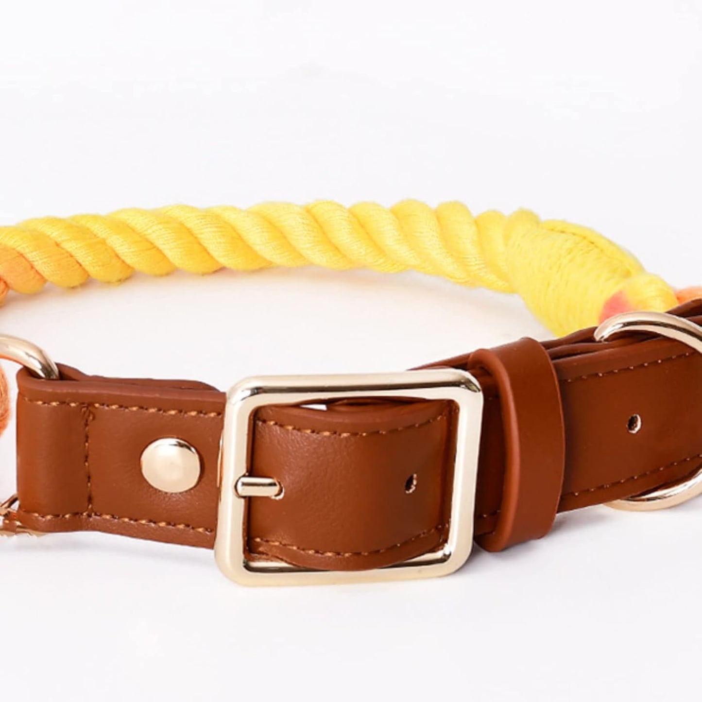 Leather Braided Dog Collar and Cotton Leash Set