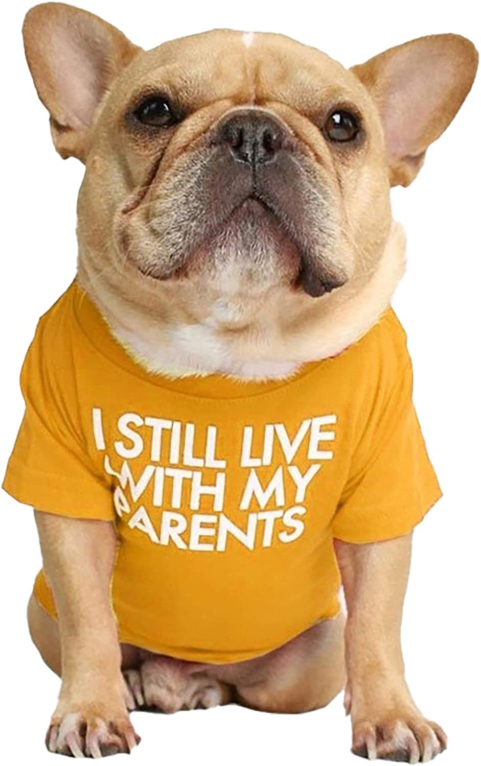 Dog Graphic T-shirt - I Still Live With my Parents