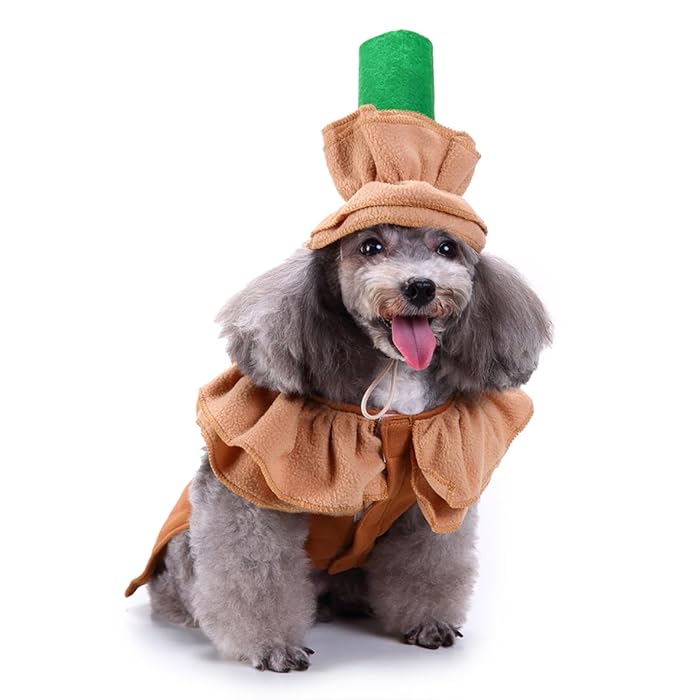 Coffee Halloween Dog Costumes