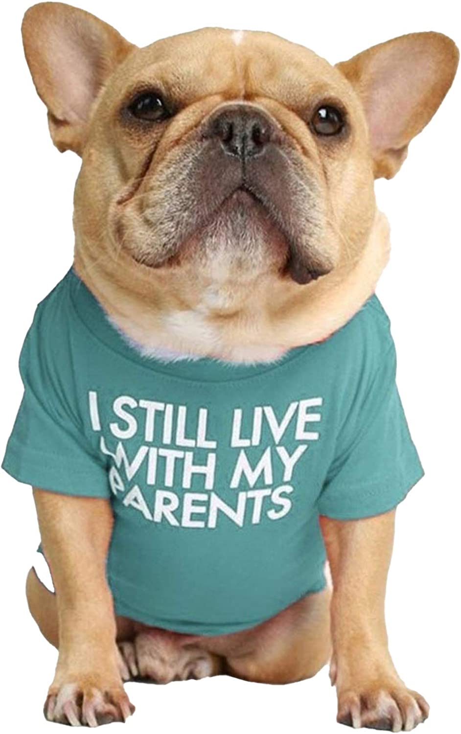 Dog Graphic T-shirt - I Still Live With my Parents