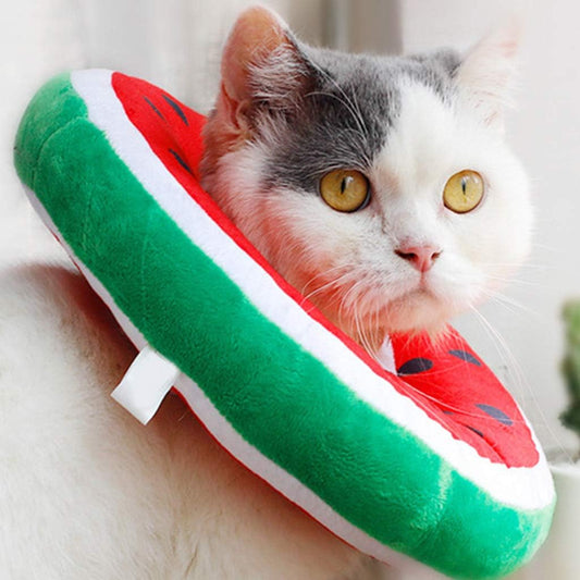 Soft Recovery Collar for Cats - Fruit Design