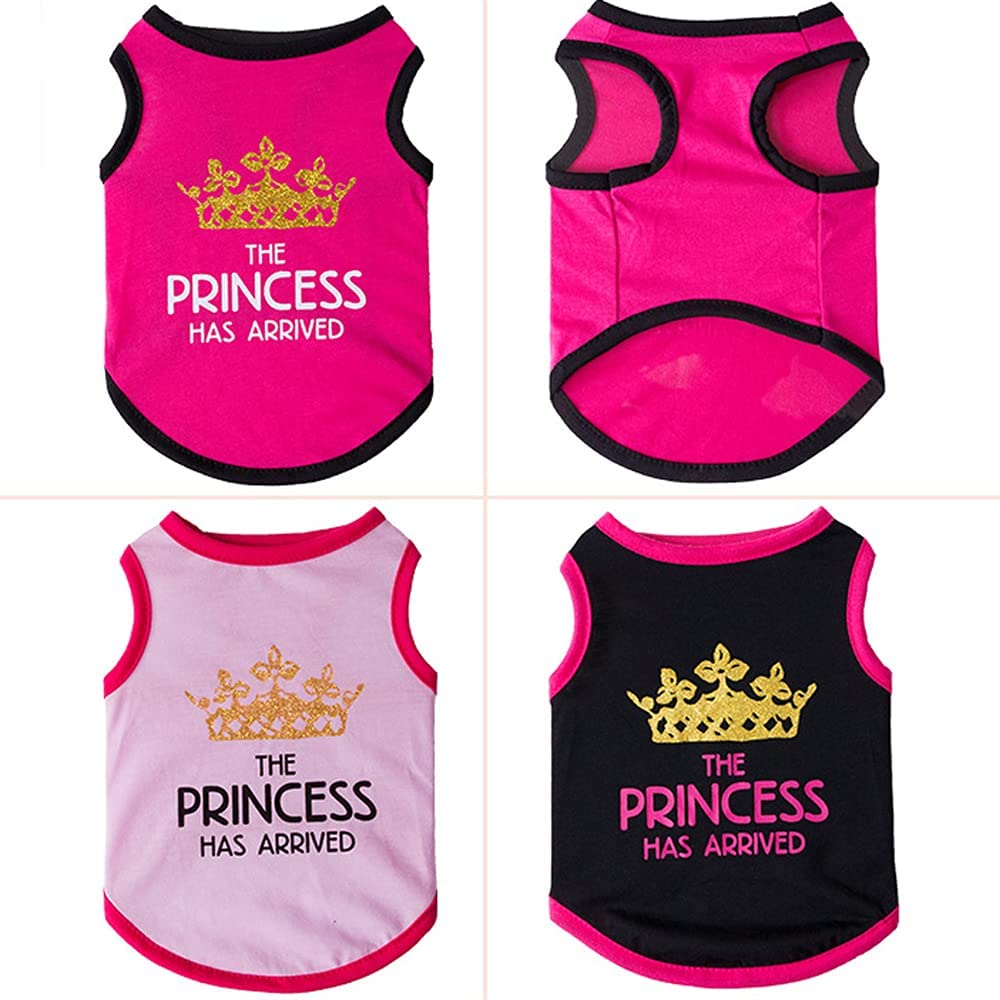 Sweet Princess Graphic T-shirt