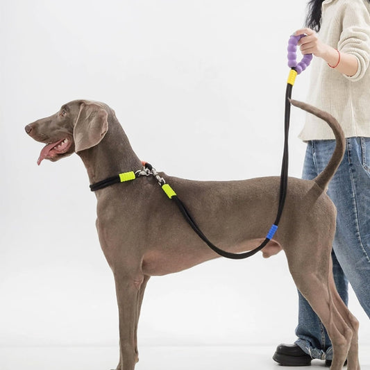 Hand-Free  Double-Segmented Dog Leash
