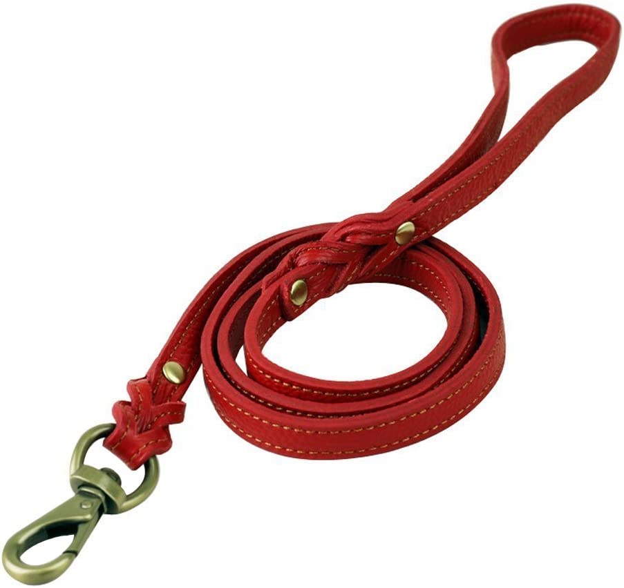 Braided Leather Dog Leash