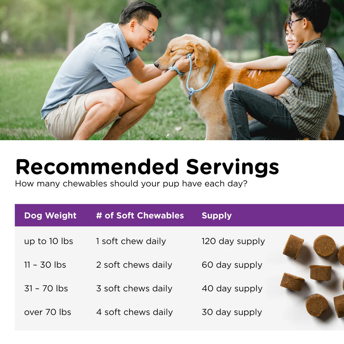 Nutri-Vet Pre & Probiotic Soft Chews for Dogs