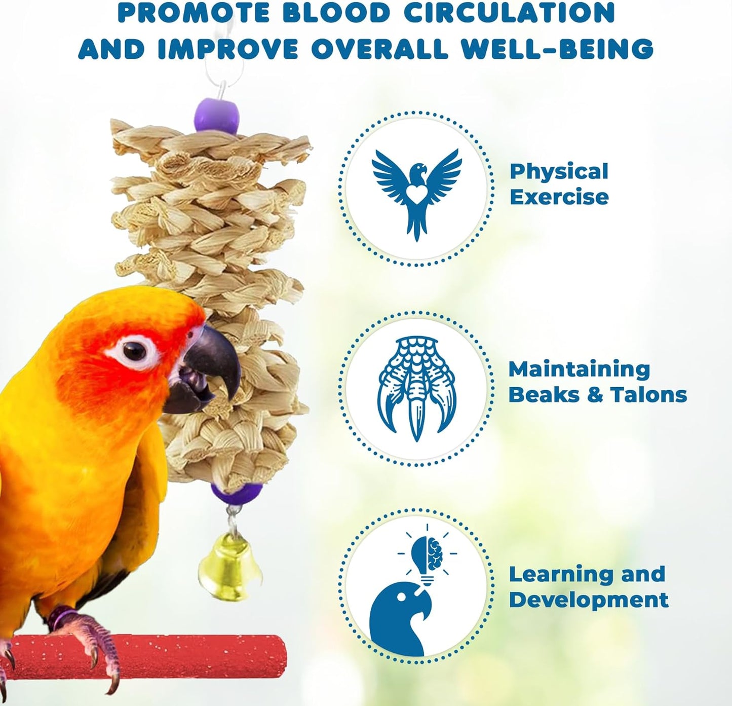 Exotic Birds Toy Set - Safe Non-Toxic