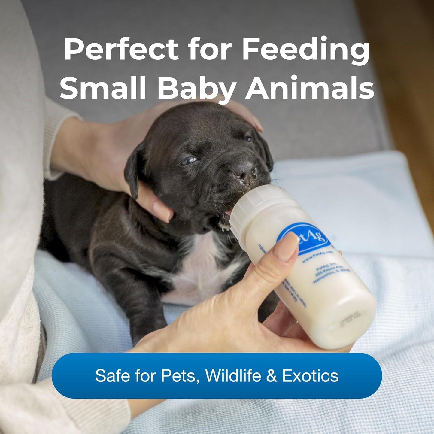 PetAG Nursing Bottle for Kittens and Puppies | 2 oz , 4 oz