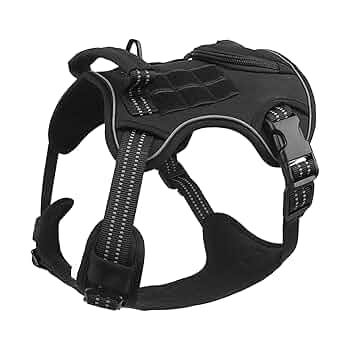 Tactical Dog Harness and Leash Set