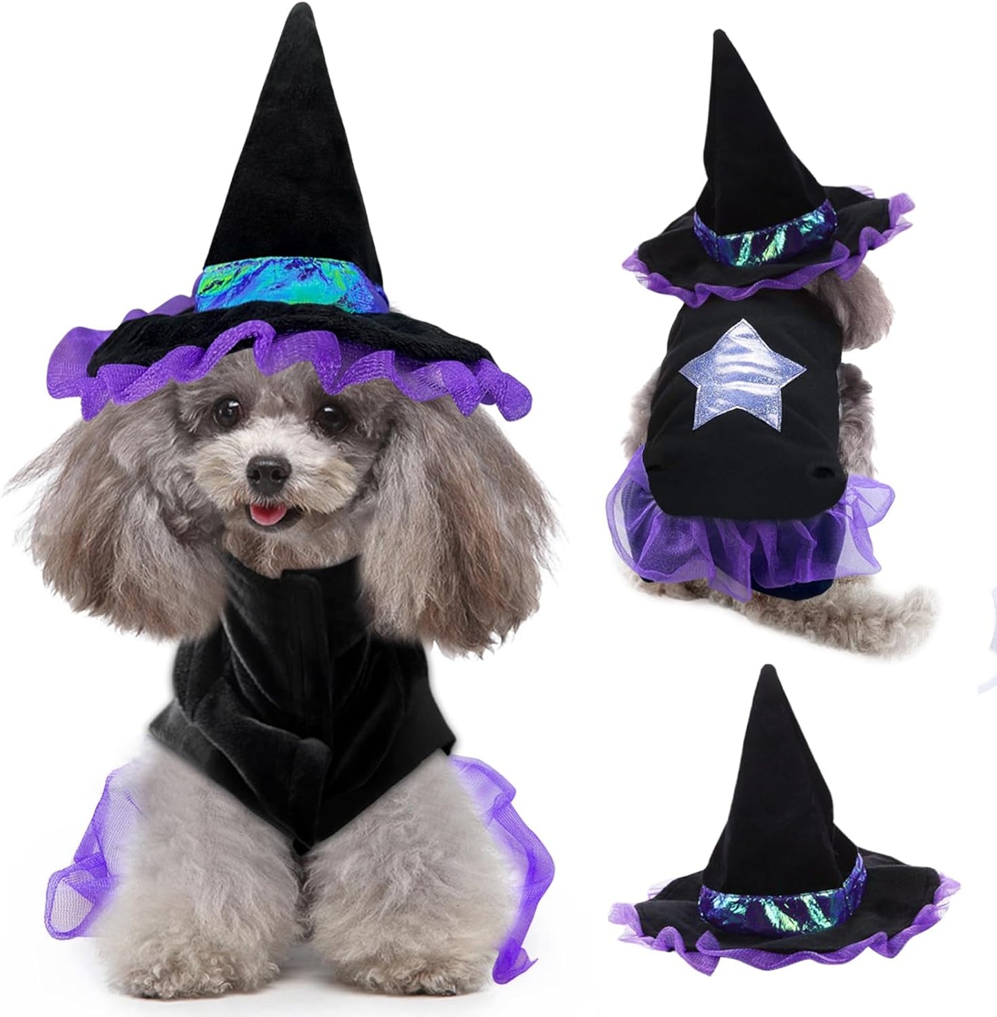 Halloween Dog Witch Costume