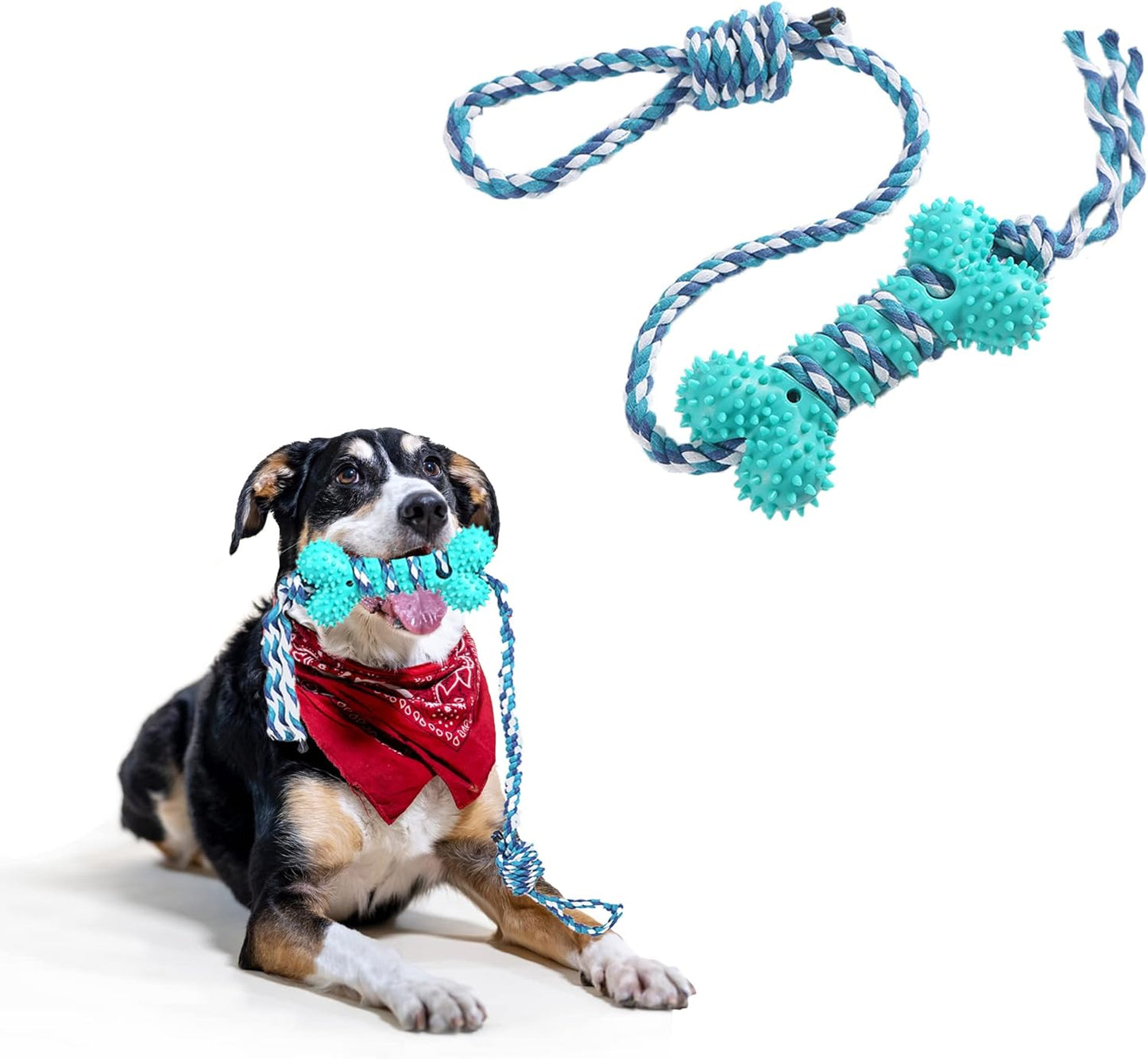 Dog Rope Chew Toy