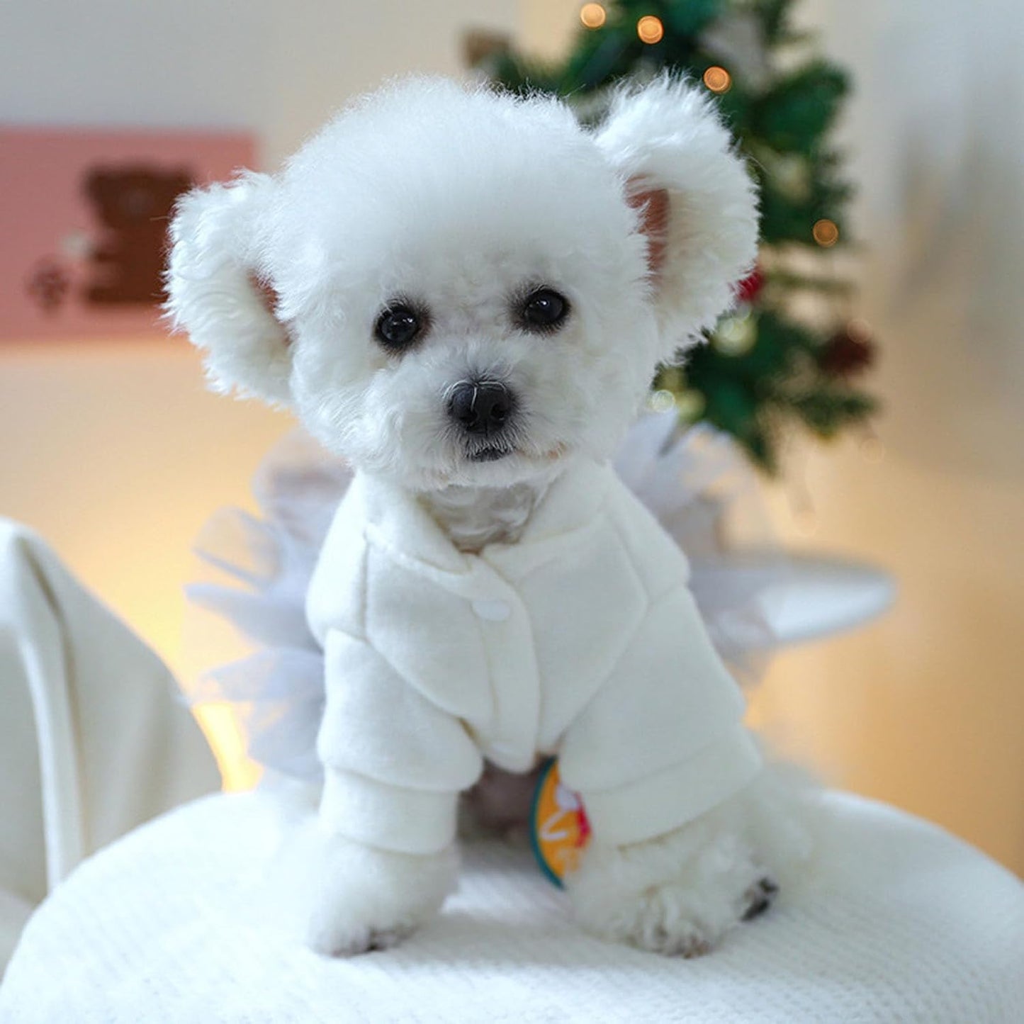 Pet Christmas Dress – Warm, Comfortable Holiday Outfit for Small Pets