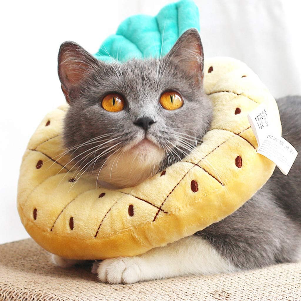 Soft Recovery Collar for Cats - Fruit Design