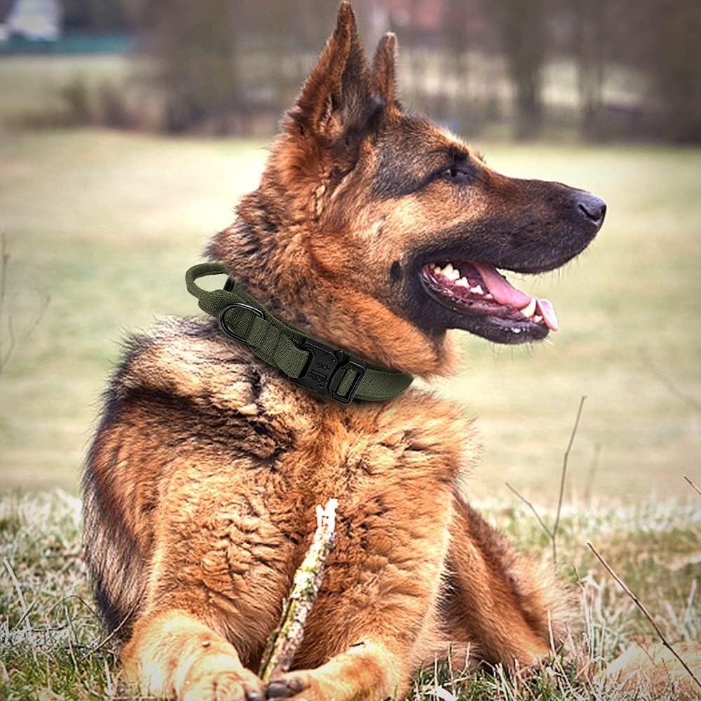 HEAVY DUTY MILITARY GRADE K9 DOG COLLAR