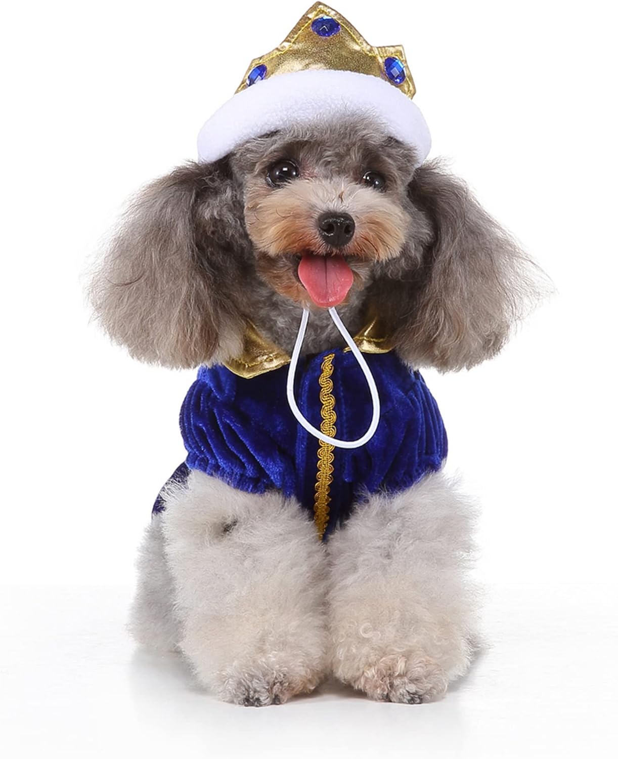 Cute Halloween King/ Queen Dog Costume