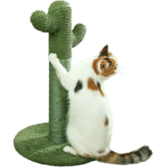 Cactus Scratching Post
