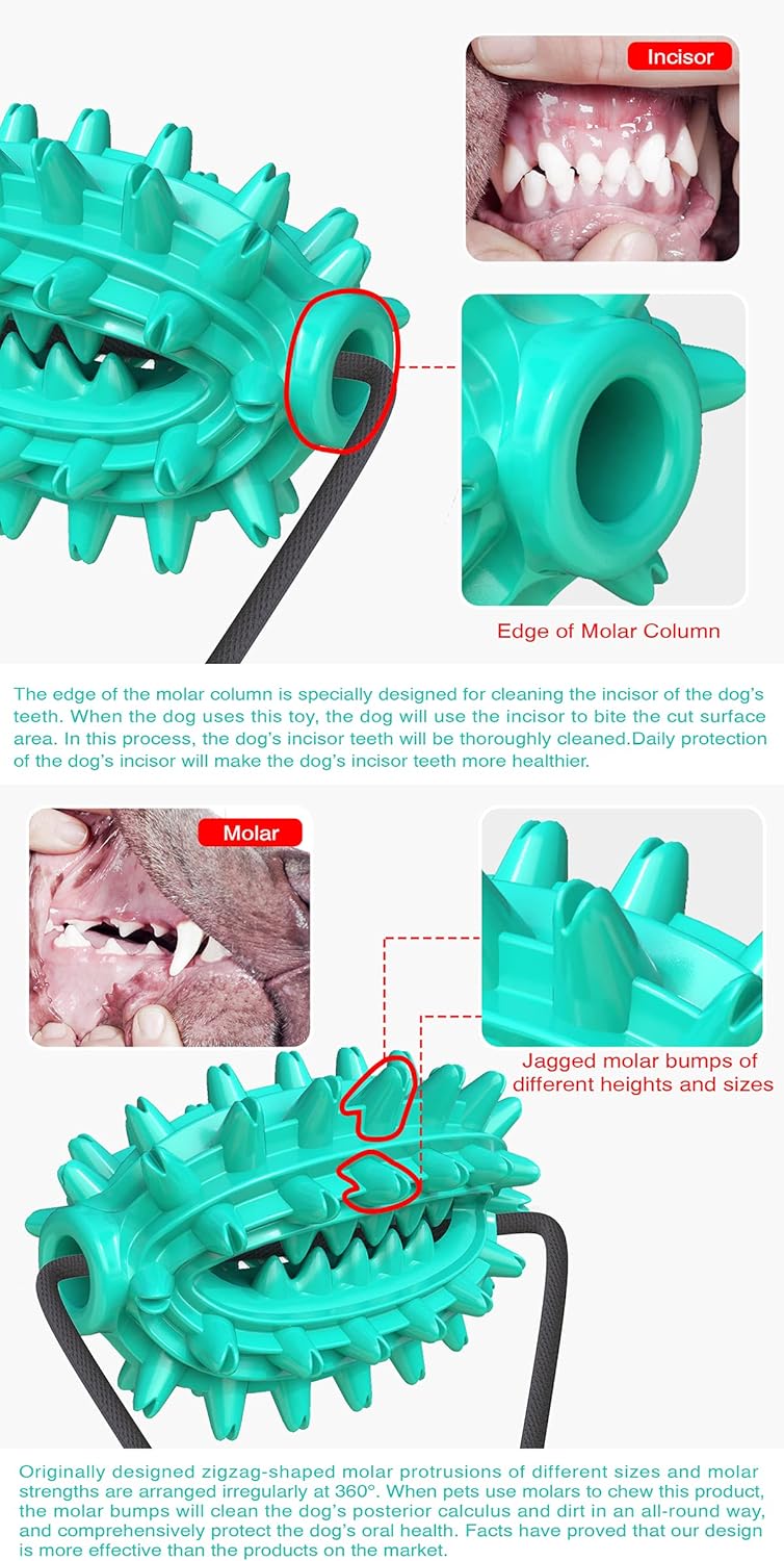 Teeth Cleaning Chew Toy - Cactus Shaped