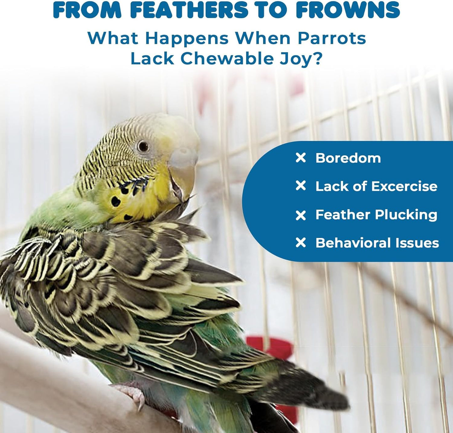 Exotic Birds Toy Set - Safe Non-Toxic