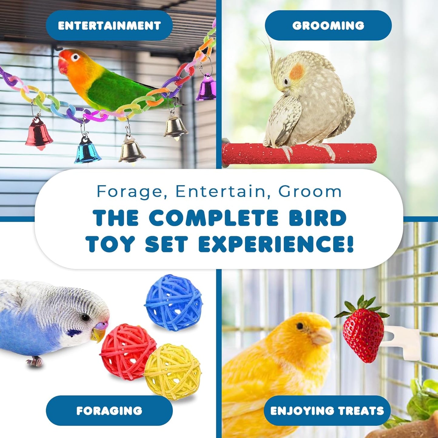 Exotic Birds Toy Set - Safe Non-Toxic