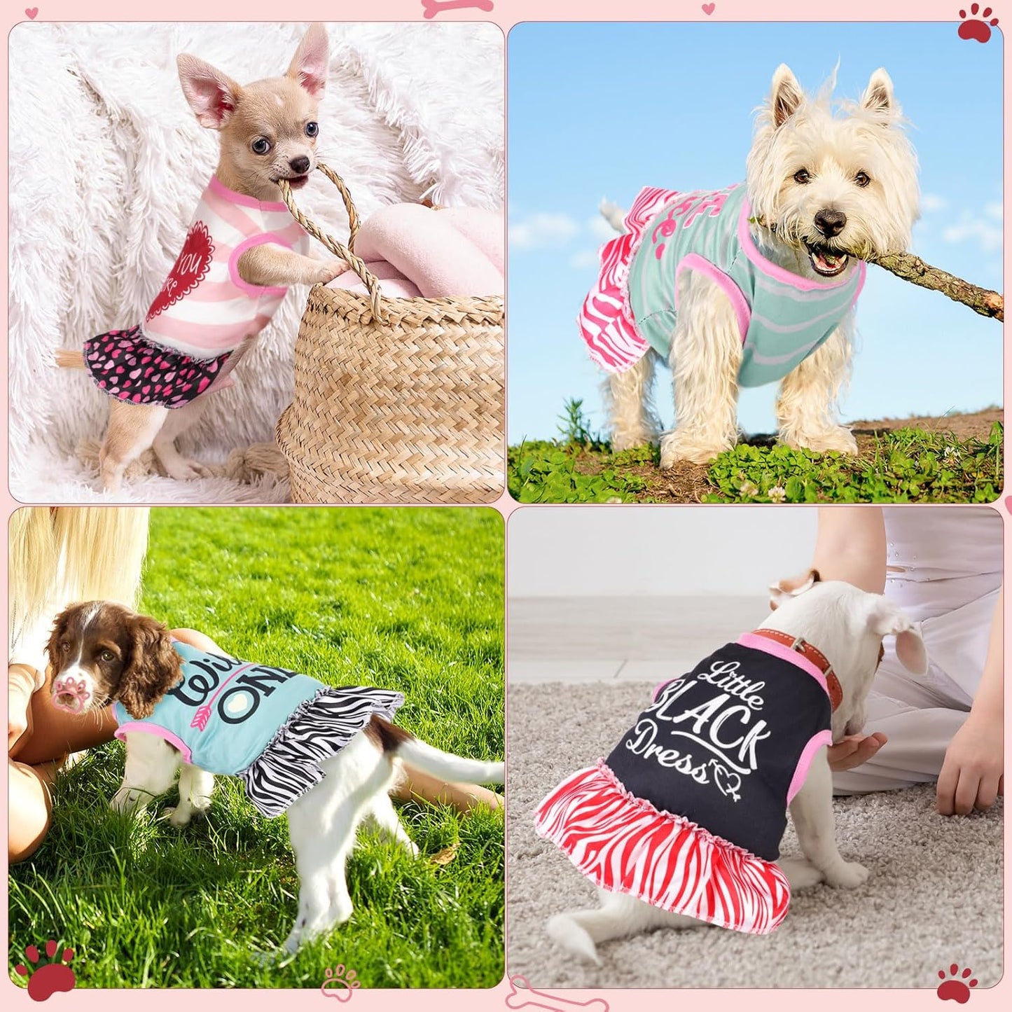 Vestido de verano para perros con eslogan bonito y femenino