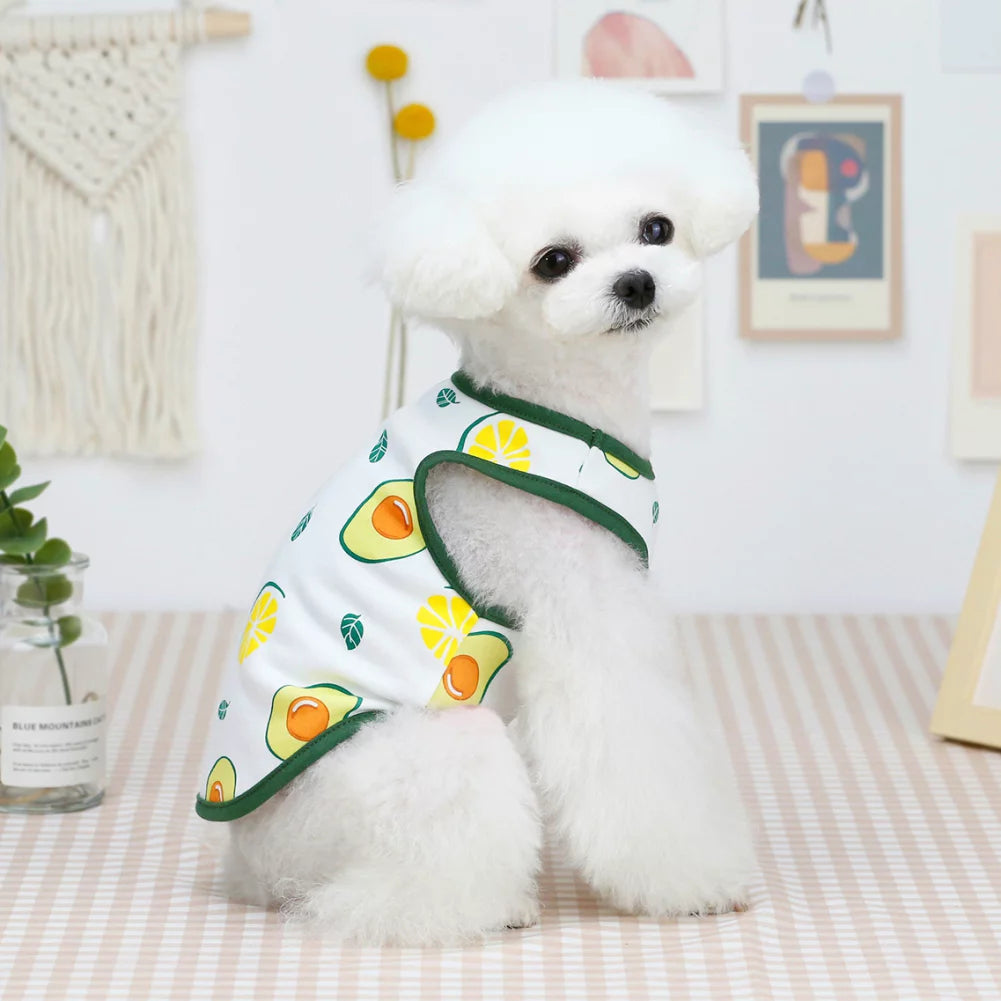 Cute Pet Fruit Print Vest