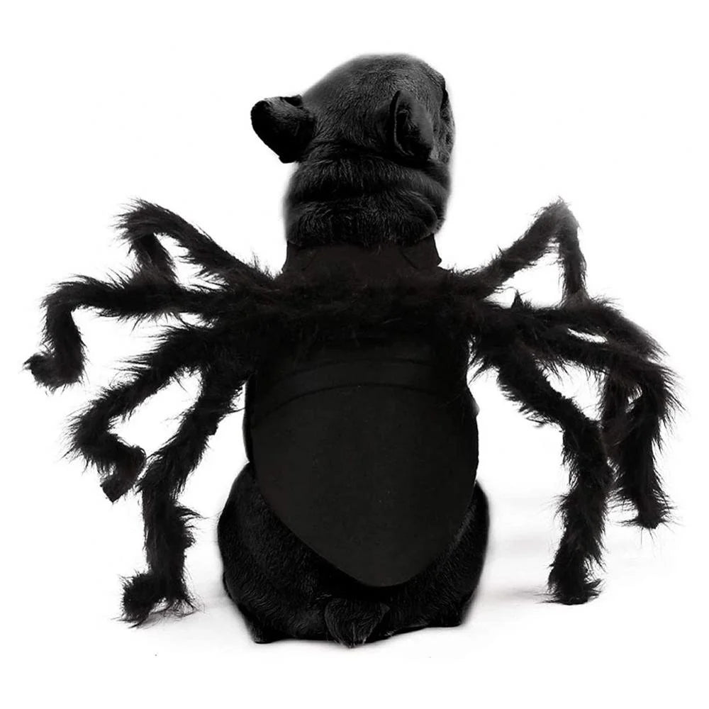 Spider Halloween Dog Costume