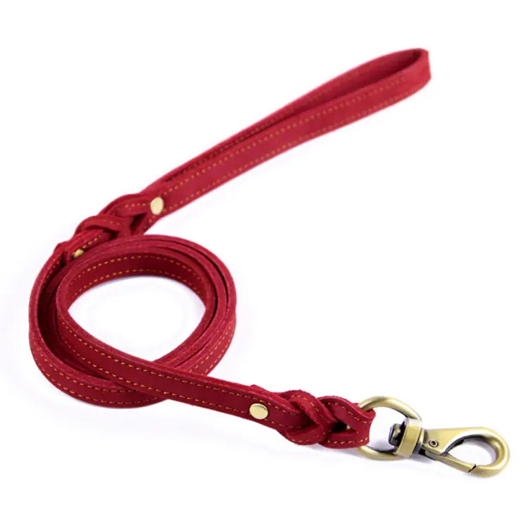 Braided Leather Dog Leash