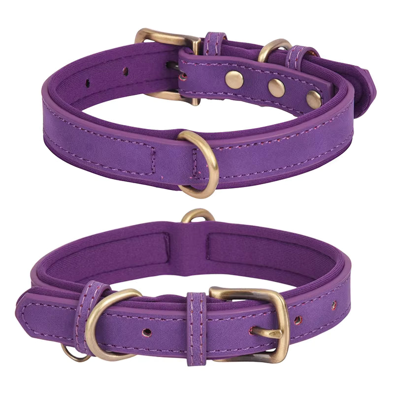 Personalized Engraved Leather Dog Collar with Metal Nameplate