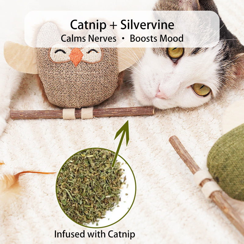 Catnip & Silver Vine Interactive Cat Toys