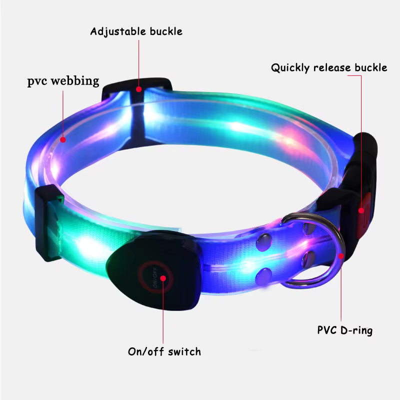 LED Light-Up Dog Leash – Rechargeable Safety Leash for Night Walks