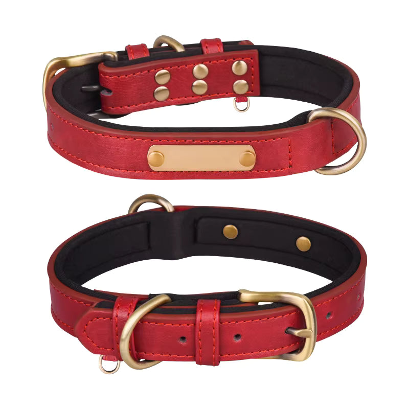 Personalized Engraved Leather Dog Collar with Metal Nameplate