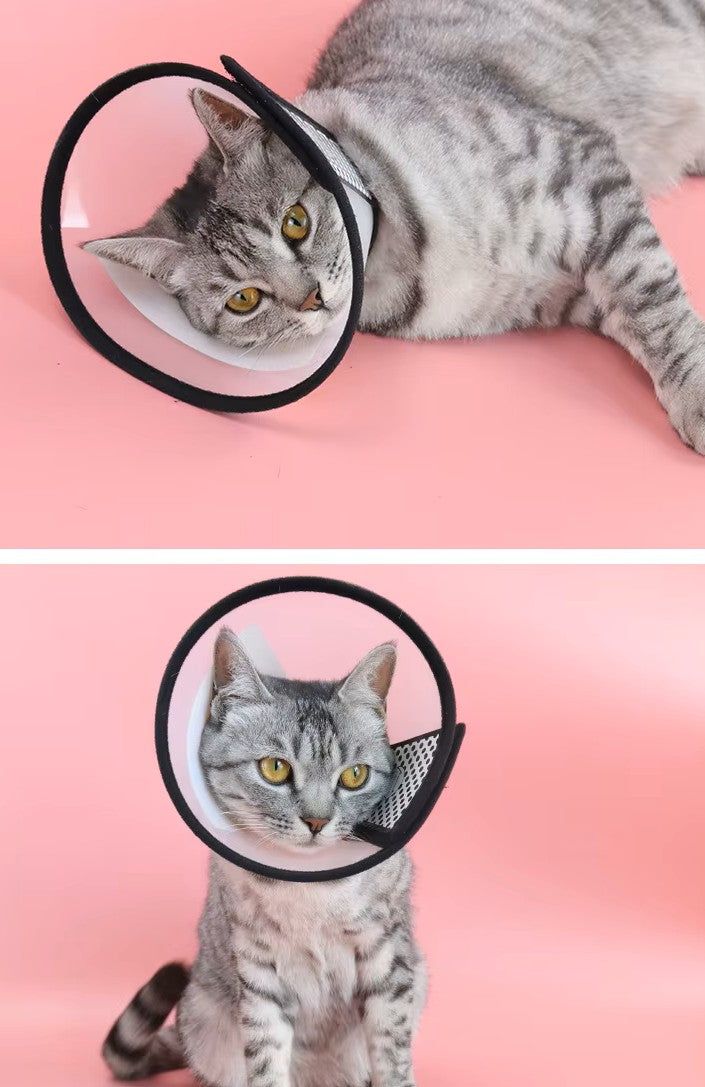 Protective Recovery Collar for Dogs and Cats