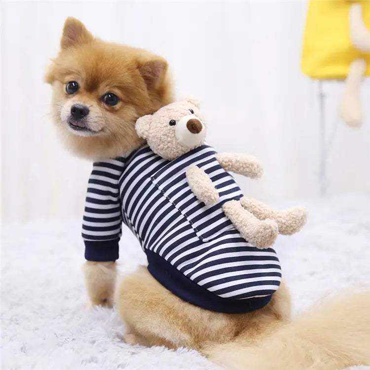 Teddy Dog Sweater