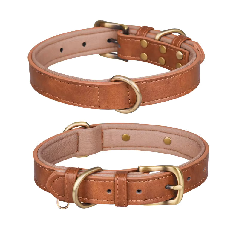 Personalized Engraved Leather Dog Collar with Metal Nameplate