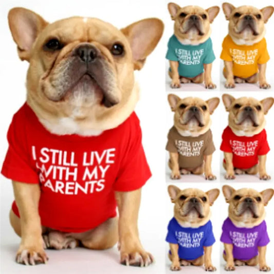 Dog Graphic T-shirt - I Still Live With my Parents