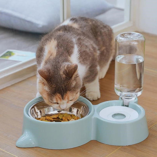 Pet Food & Automatic Water Bowl Set
