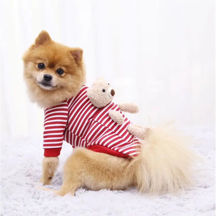 Teddy Dog Sweater